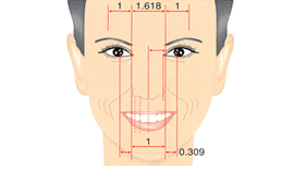 人の顔に溶け込む歯