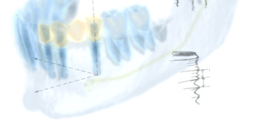 マウスイメージ